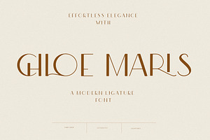 Modern Ligature Sans Serif Font