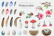 Forest Birds Watercolor Set, an Animal Illustration by AnitaPol (Thumbnail 23 of 26)