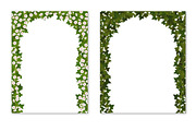 Ivy vector set for floral design, a Decorative Illustration by belander (Thumbnail 4 of 4)