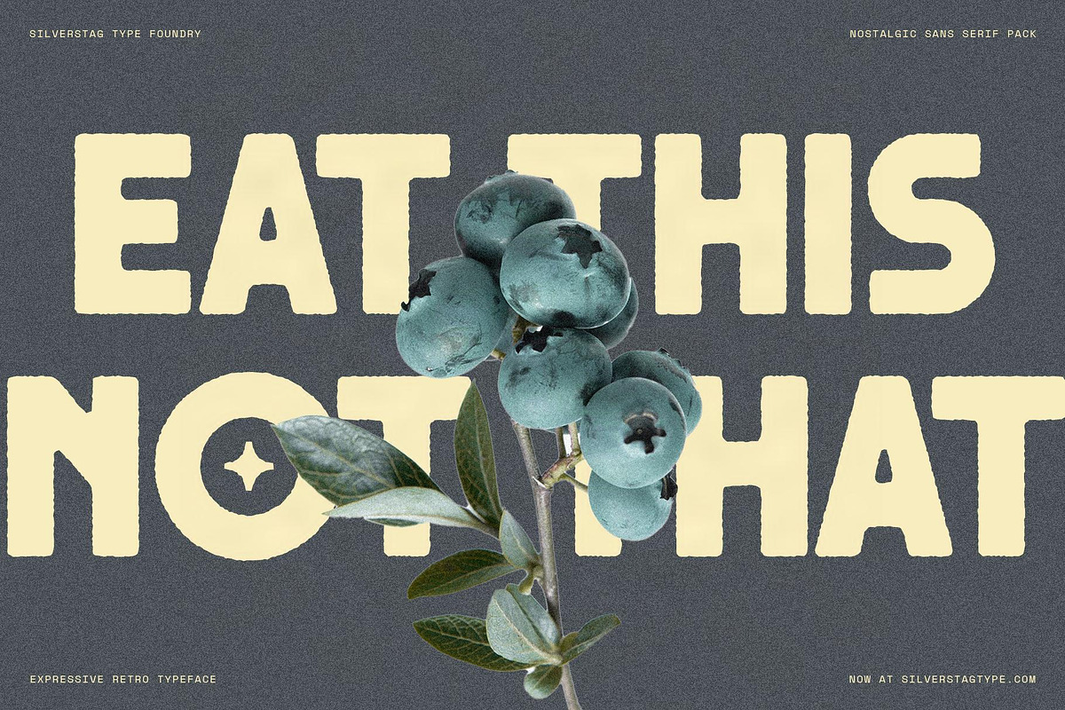 Saffielle - Bold Vintage Typeface, a Sans Serif Font by SilverStag Type Foundry (Photo 13 of 15)