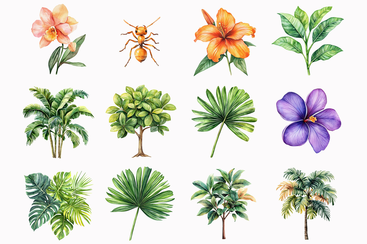 Rainforest Animals Clipart, an Illustration by Design Market (Photo 3 of 5)