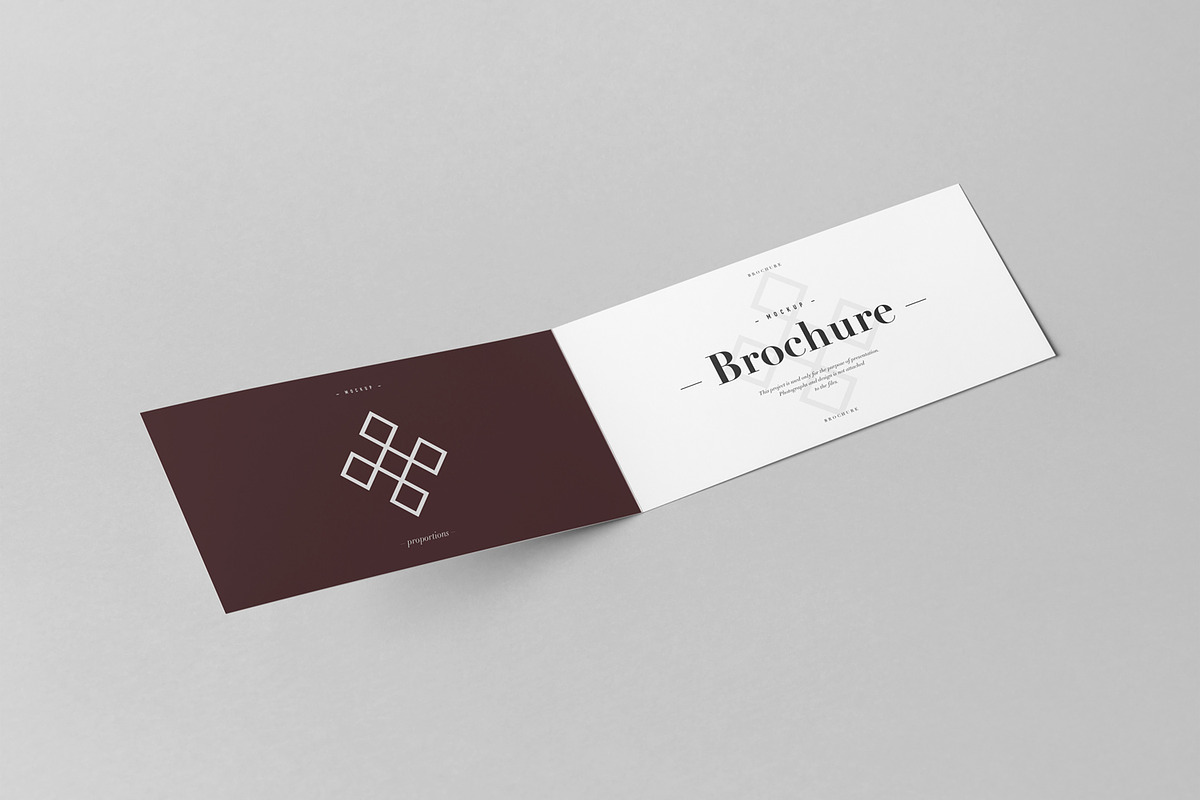 Bi-Fold DL Horizontal Brochure 2, an Advertising Mockup by Yogurt86 (Photo 4 of 14)
