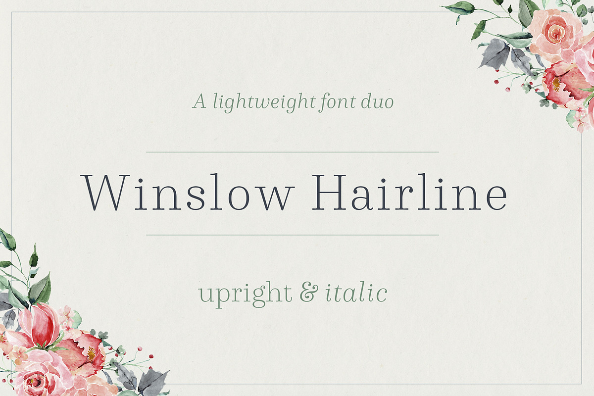 Winslow Book Hairline