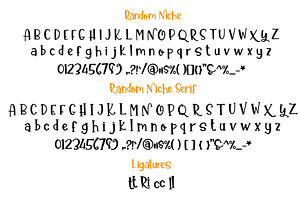 Random Niche Handlettered Font