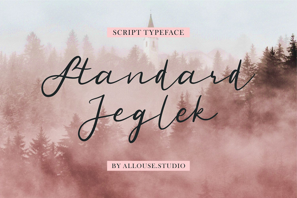 Standard Jeglek Font, a Script Font by Allouse Studio (Photo 1 of 10)