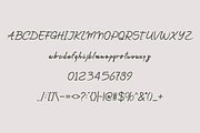 Halindra Garlli Handwritten Font., a Handwritten Font by VectorCraft (Thumbnail 4 of 5)