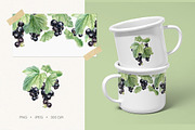 Black currant berry watercolor, a Food Illustration by Fedulova Art (Thumbnail 3 of 10)