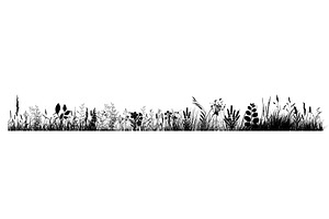 Silhouette of grass horizon. Border, an Object Illustration by Nenahliadava Design