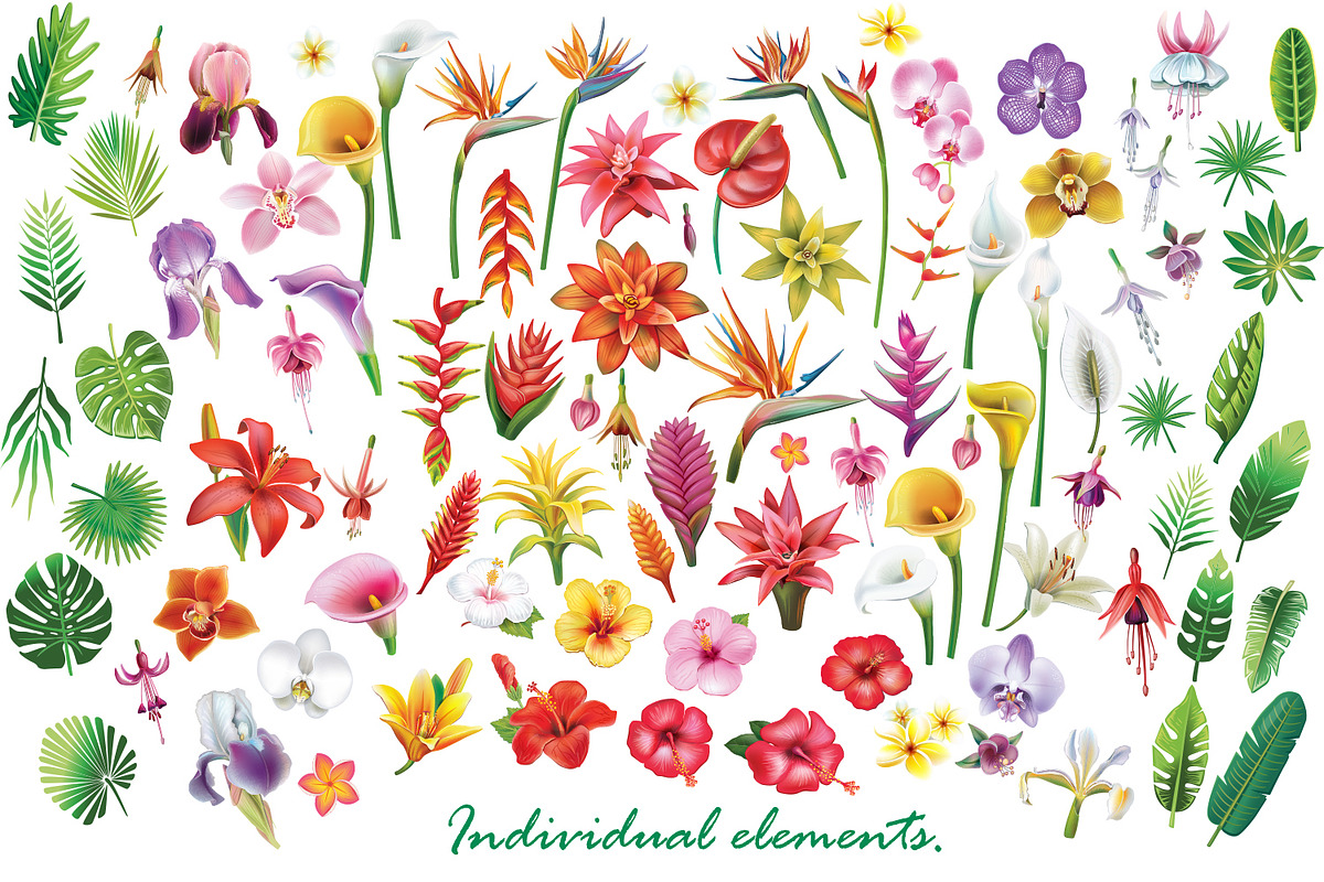 Tropical Frames and Borders, a Seasonal Illustration by ViktoriaARTprint (Photo 6 of 8)