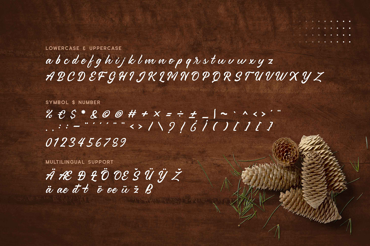 Ameyasi - Modern Script Typeface preview 6