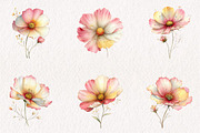 Watercolor Spring Cosmos Flowers Cli, an Illustration by CreationArt (Thumbnail 6 of 7)