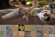 Forest Elements, an Environmental 3D Model by Beatheart Creative Studio (Thumbnail 21 of 25)