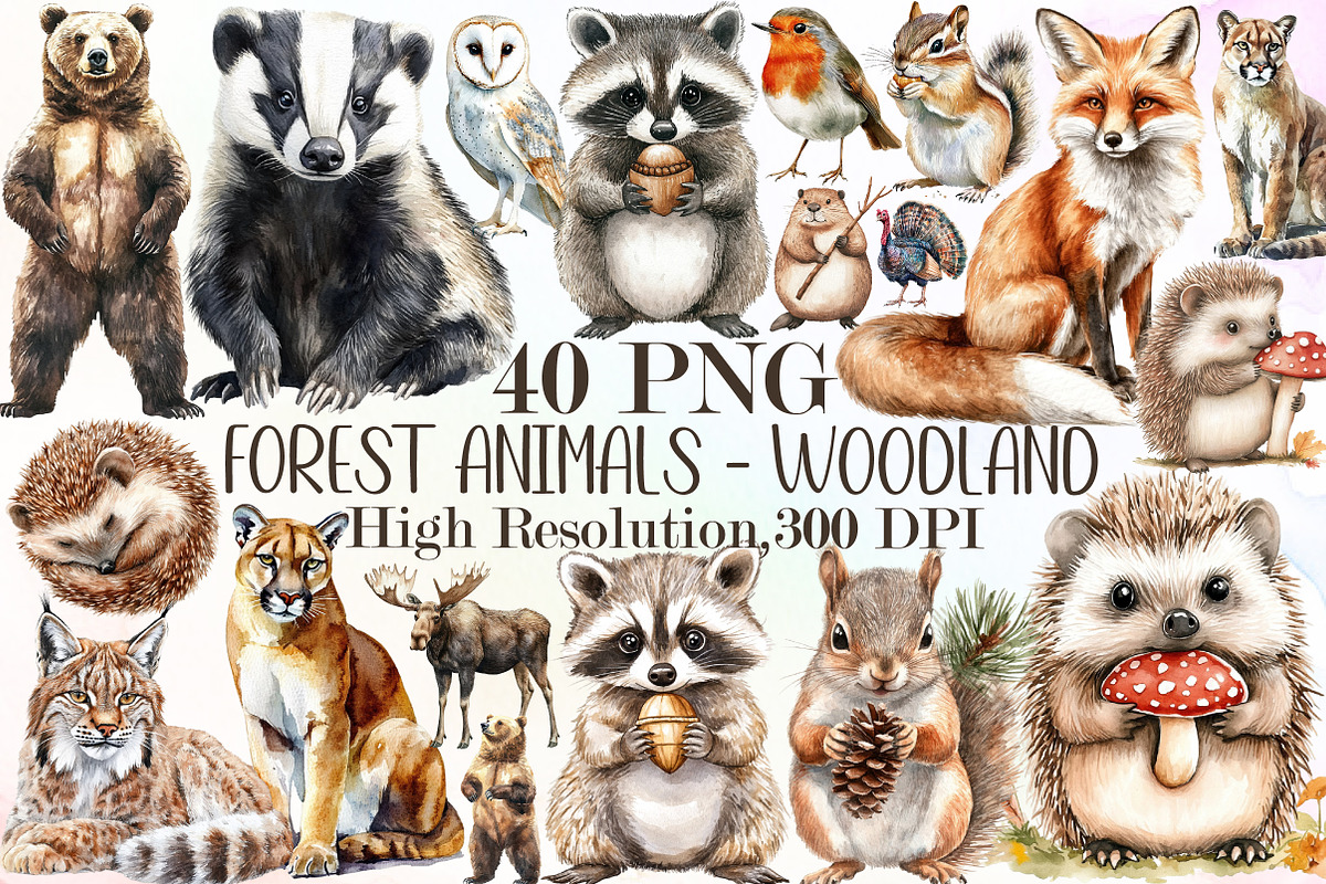 Forest Animals - Woodland Clipart, an Illustration by Sublimation Artist (Photo 1 of 6)