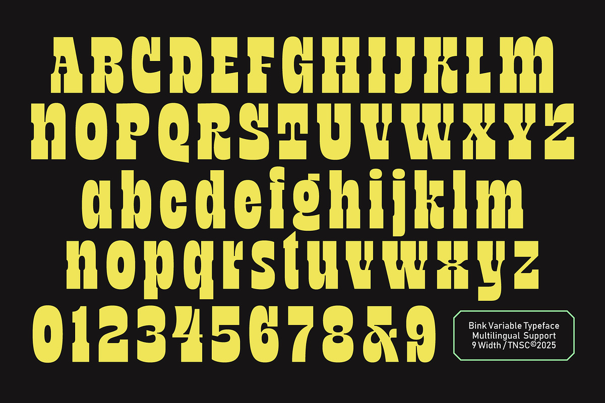 TNSC Bink - Slab Serif Display, a Slab Serif Font by The Native Saint Club (Photo 16 of 16)
