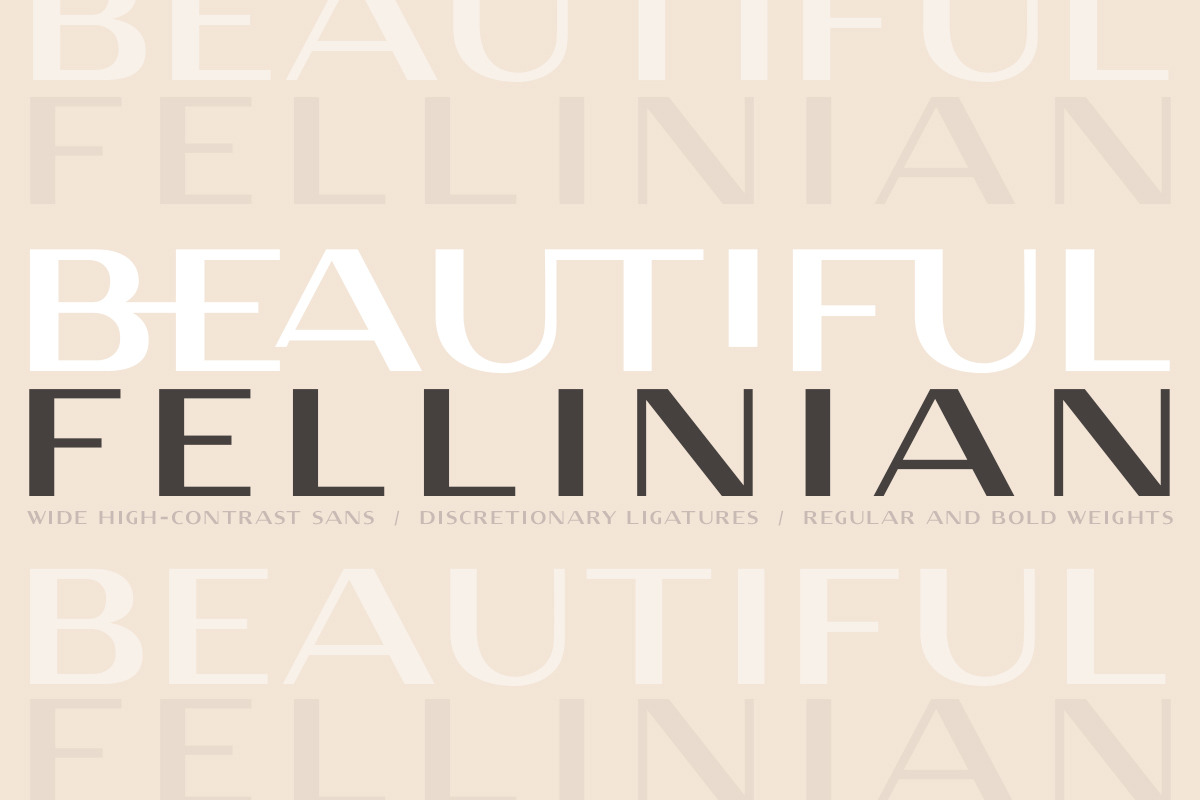 Fellinian - Mid Century Logo Sans, a Sans Serif Font by Anya-D (Photo 17 of 17)