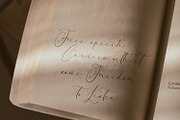 Longidea, a Script Font by Nathatype (Thumbnail 10 of 10)