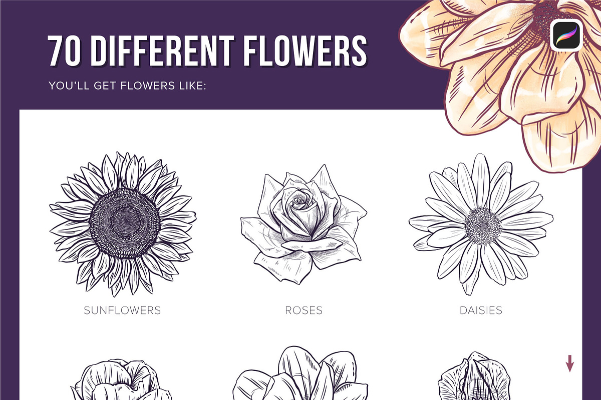 70 Flower Stamps for Procreate, a Brush Add-On by Riveros Illustration (Photo 3 of 13)