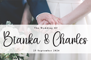 Bulldogs | Script Font, a Handwritten Font by Scratchones (Thumbnail 2 of 9)