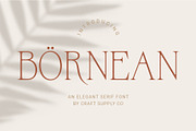 Bornean – Elegant Serif, a Serif Font by Craft Supply Co. (Thumbnail 1 of 8)
