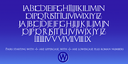 Monogramma, a Serif Font by Wiescher-Design (Thumbnail 6 of 14)