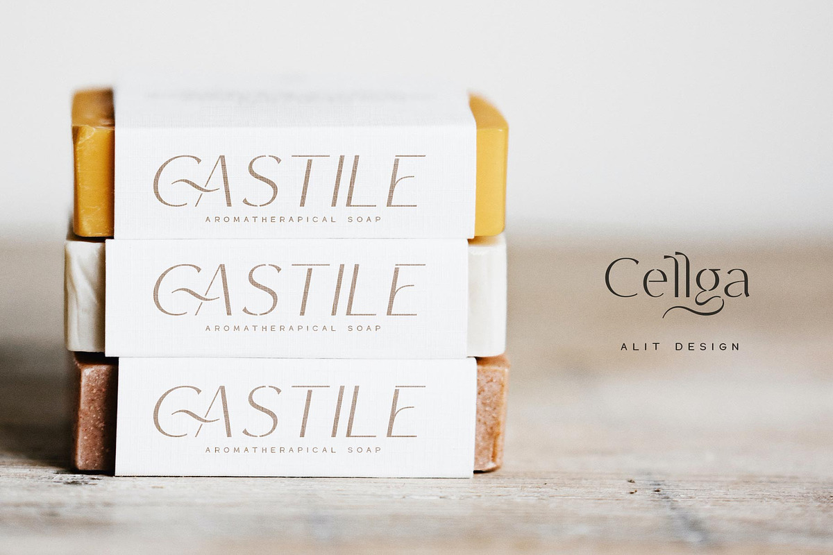 Cellga Typeface, a Sans Serif Font by alit design (Photo 3 of 17)