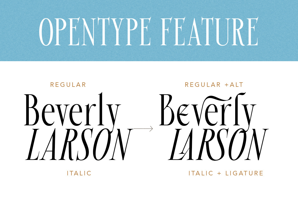 Beverly Walters Stylish Serif, a Serif Font by Letterhend Studio (Photo 3 of 11)