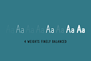 The Hand Wide Font Coll. (4 fonts), a Sans Serif Font by S&C Type (Thumbnail 2 of 10)