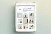 NATURALIS Instagram Pack, a Social Media Template by 46&2 Collective (Thumbnail 8 of 9)