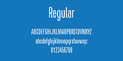 AS Naya, a Sans Serif Font by Aleksandr Sukiasov (Thumbnail 1 of 6)
