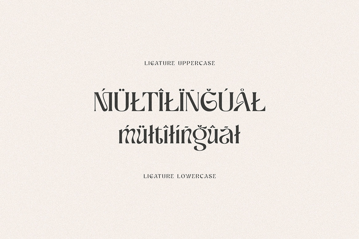 Ragnheidr Unique Serif, a Serif Font by Cruzine (Photo 8 of 8)