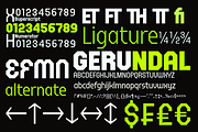 FX Gerundal - Sport Font, a Sans Serif Font by Differentialtype (Thumbnail 9 of 12)