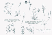 vintage clipart ink illustration set, a Decorative Illustration by Patishop Art (Thumbnail 5 of 9)