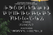 Balpoint Handwriting, a Handwritten Font by InermediaSTUDIO (Thumbnail 4 of 8)