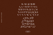 Rosari Serif Font, a Script Font by Luna Shop (Thumbnail 3 of 12)
