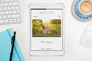 Styled Desktop Mockup Bundle, a Cups & Container Mockup by Square Balloon (Thumbnail 7 of 14)