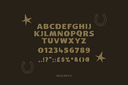 Bronco Serif | A Hand Lettered Serif, a Font by Wildline.Co (Thumbnail 3 of 3)