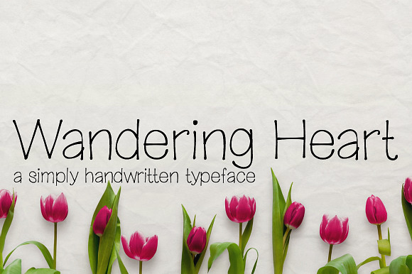 Wandering Heart- Handwritten Font preview 4