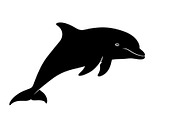 Dolphin Jumping Silhouette Vector, an Illustration by Designs_River (Thumbnail 10 of 51)