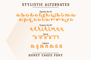 Honey Cages, a Serif Font by Nathatype (Thumbnail 10 of 10)