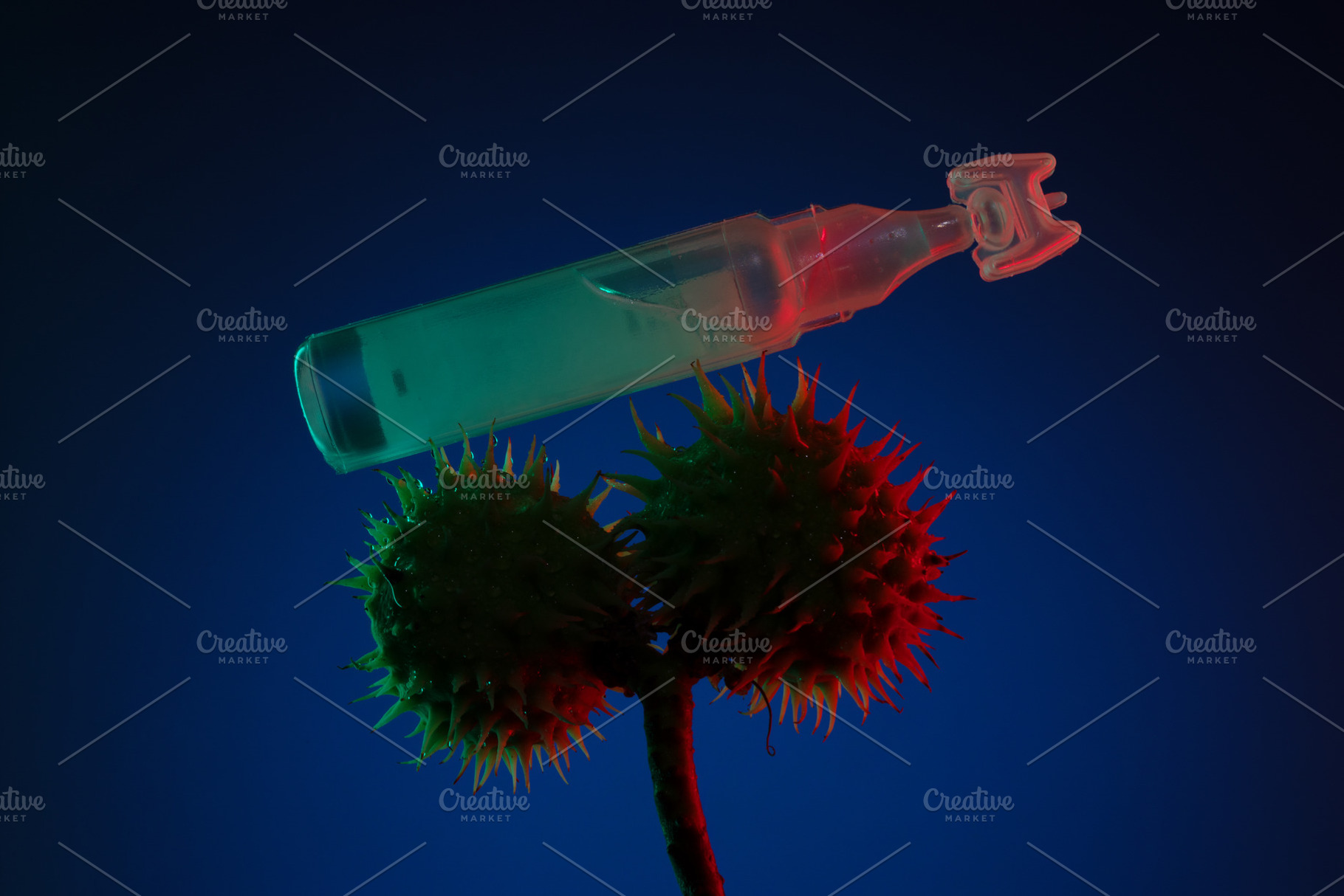 Close-up of a medical ampoule balanced on two spiky castor seeds, a Health & Medical Photo by Ales Munt