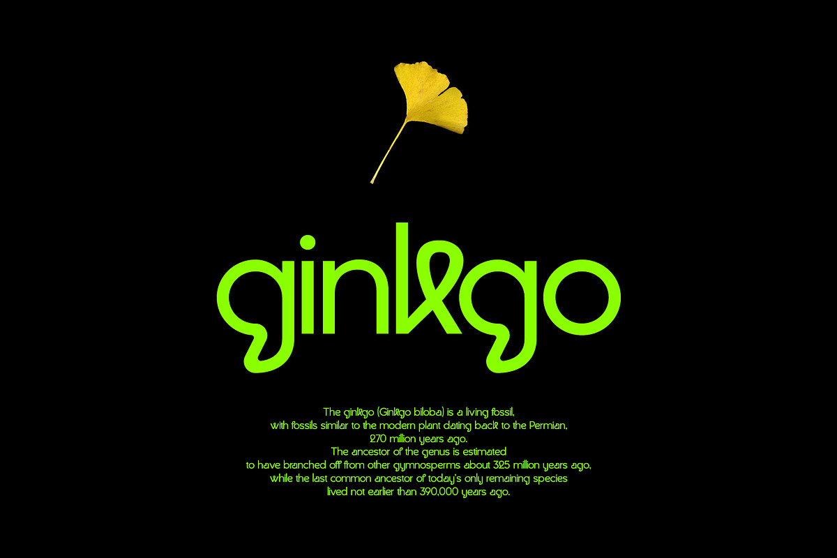 Bangalo - Modern & Unique Sans Serif, a Sans Serif Font by subkulturetype (Photo 4 of 11)