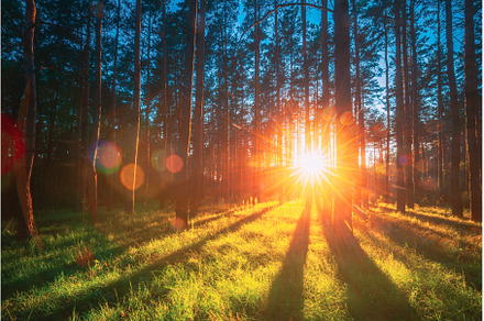 Sunset Sunrise Sun Sunshine In Sunny, a Nature Photo by Our Amazing World