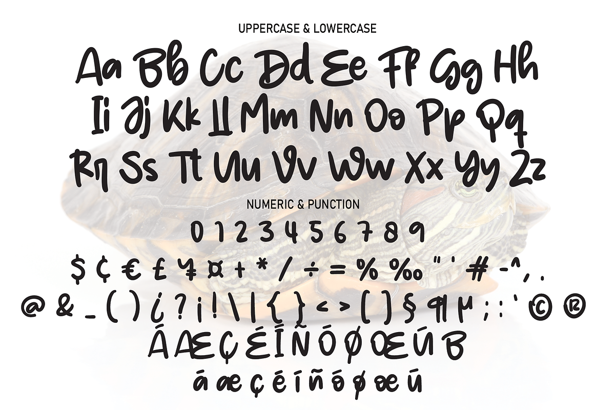 Little Turtle | Script Font, a Script Font by Scratchones (Photo 3 of 8)