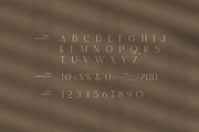 Manis Elegant Serif Font, a Serif Font by Graphicxell (Thumbnail 7 of 8)