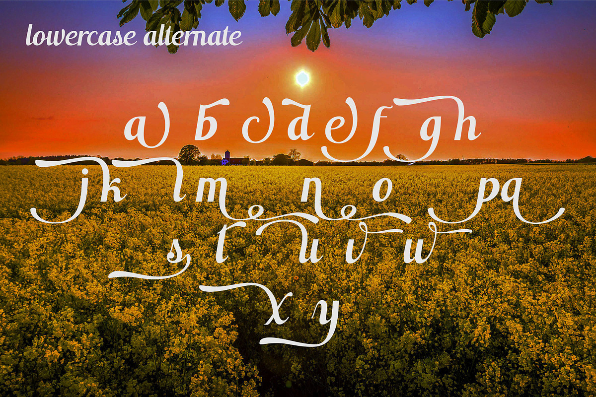 Switzerland, a Script Font by Funtype (Photo 12 of 14)