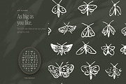 Garden & Woodland Seamless Patterns, a Pattern Graphic by The October Creative (Thumbnail 5 of 12)