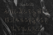The Cecily Show Signature Font, a Script Font by The October Creative (Thumbnail 3 of 8)