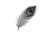 Peacock Feather Silhouette Bundle, an Illustration by jahid234 (Thumbnail 25 of 31)