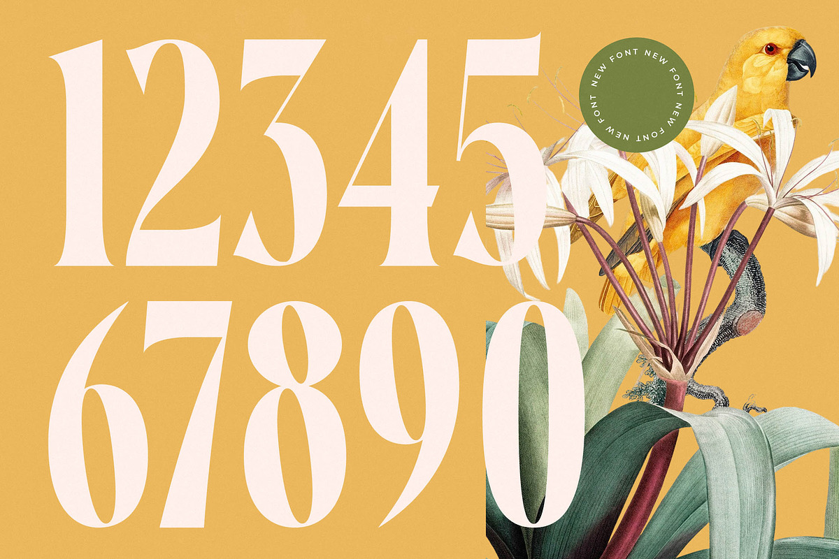 Qastife Elegant Display Serif, a Serif Font by timelesstype.co (Photo 5 of 20)