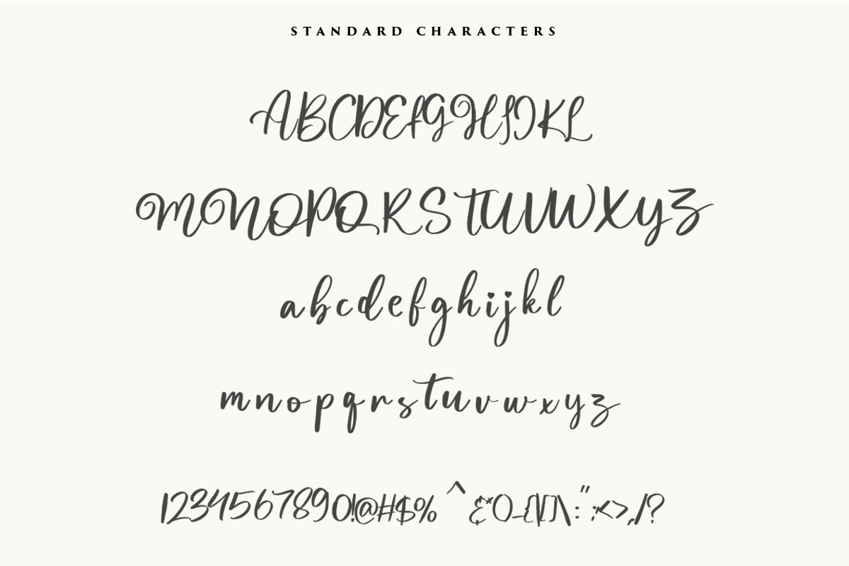 Magnolia Font, a Script Font by Vultype Co.
